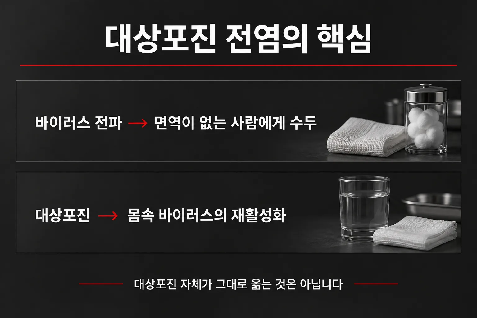대상포진 환자로부터 전파된 바이러스는 면역이 없는 사람에게 수두를 일으킬 수 있고 대상포진은 몸속 바이러스의 재활성화임을 설명